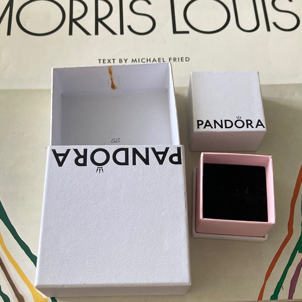 Pandora Elegant White Gift Boxes - Picture 4 of 4